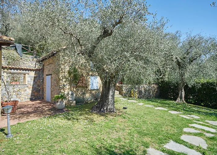 Villa The Grapefruit House - Con Piscina