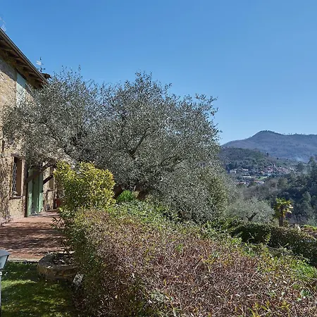 The Grapefruit House - Con Piscina Villa
